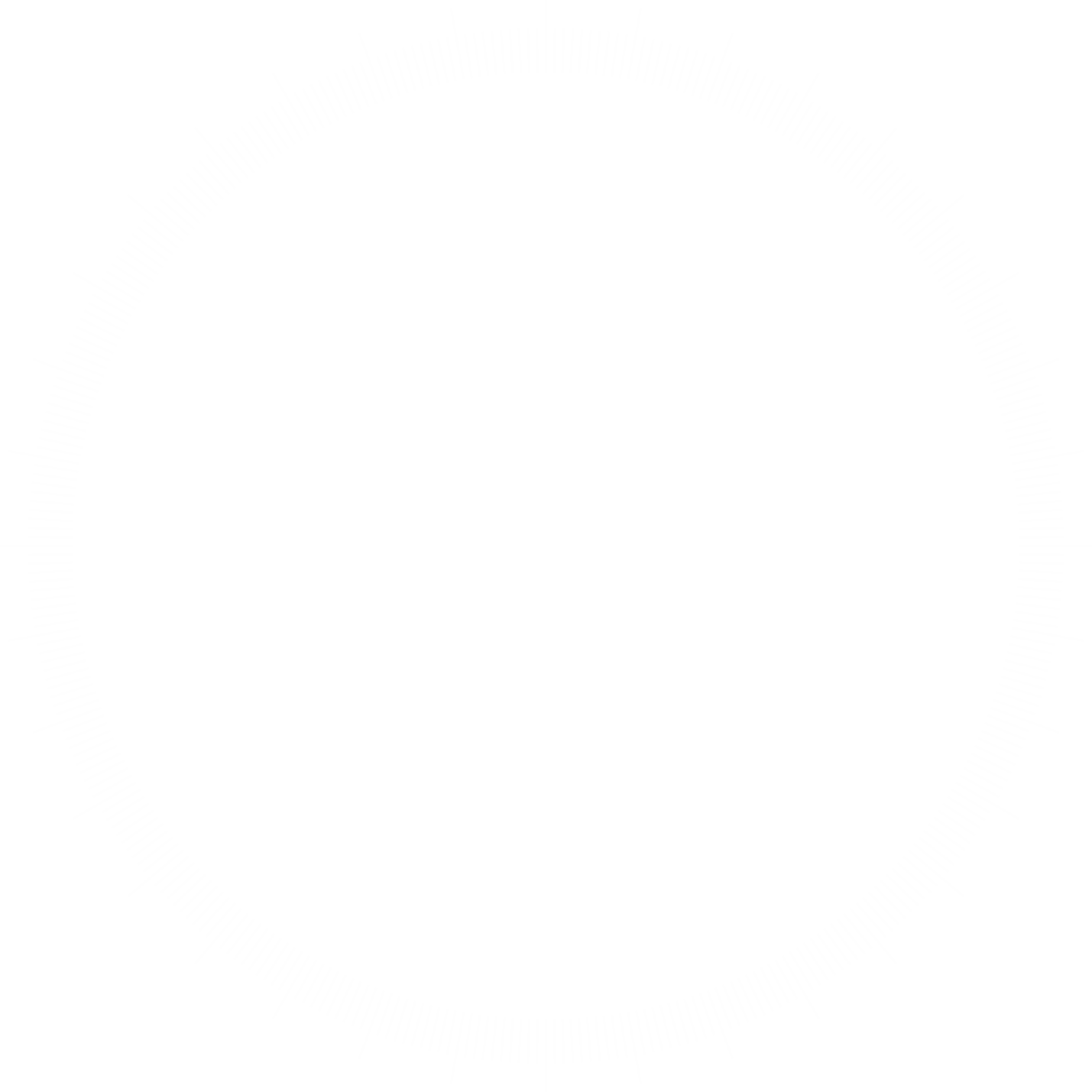 Outer Ring